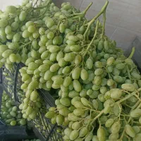 غوره