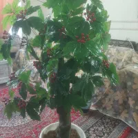 درخچه مصنوعی