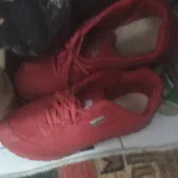 فیش ۱۰ تومن کفش پام