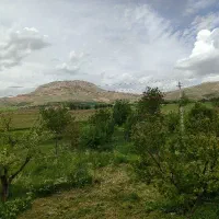 مشارکت در شرکت فنی مهندسی
