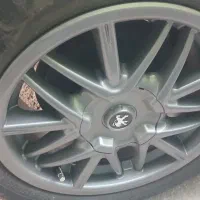 رینگ خرچنگی