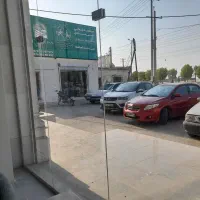 دوست داری راننده حرفه ای تو شهری و جاده باشی