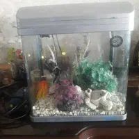 آکواریم در ابعاد ۳۲×۳۰×۲۲