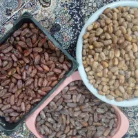 خرما فروشی