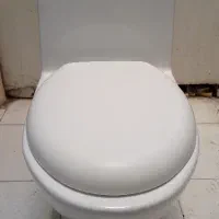 توالت فرنگی چینی کرد