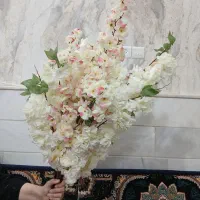 گل برای گلدان