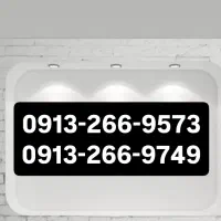 0913-266-9573