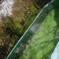 خانه-ویلایی-با-باغ