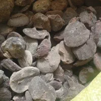 قروت گوسفندی