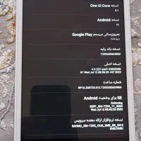 تبلت T295|تبلت|سقز, |دیوار