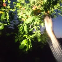 آقا و خانم هستیم خواهان جهت نگهبانی و نظافت