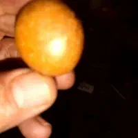 مروارید ملو