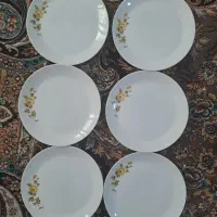 پیش دستی چینی