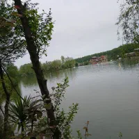توریک روزه