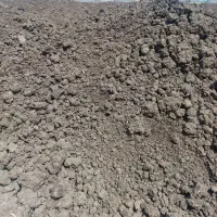 کود مرغی|خدمات باغبانی و درختکاری|صفادشت, |دیوار