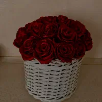 فروش سبد گل رز