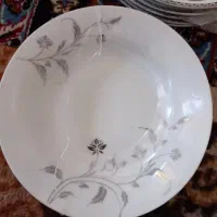 ۱ دست بشقاب غذاخوری