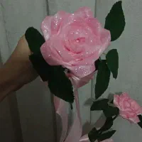 گل رز روبانی