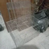 قفس پرنده