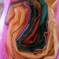 کیسه دان مرغی