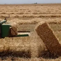 پرس کاه گندم