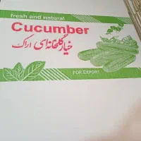 کارتن خیار نو  ۲۰ کیلویی
