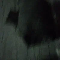 چادر ایسوزو