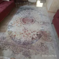 قالی