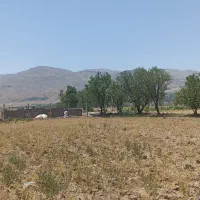 زمین زراعی 1400 متر  روستای سرسبز یلداش آباد