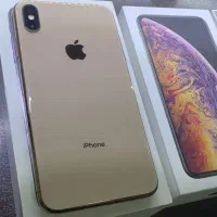 xs max 256 2sim