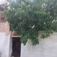 فروش باغچه الوان با خانه مسکونی انزل کهریز