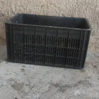 سبد