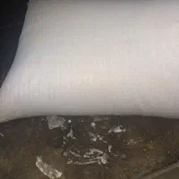 برنج طارم