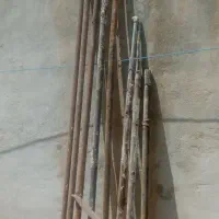 داربست