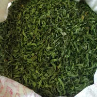 سلام نعنا ترخون رب انار همگی محلی درجه یک