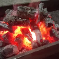 ذغال کبابی بادام یکدست وسیب،دوام وحرارت بالا،