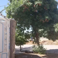 خانه-دو-خواب-خوشه-سر-دونبش