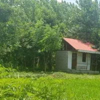 چهارقطعه زمین،تمام سکونی،زیرقیمت،دهبنه،۲۵۰تا۳۶۸متر