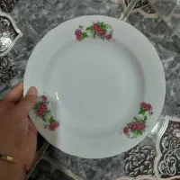 پلوخوری|آب‌چکان و نظم‌دهنده ظروف|نظرآباد, رسالت|دیوار