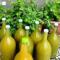 آگهی رو بخونید