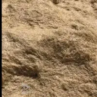 فروش یک ماشین کاه