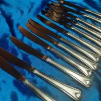 چاقوی استیک خوری