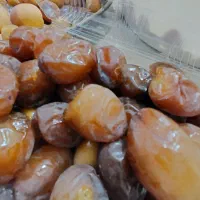 خرما خارک و رطب