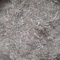 کاه خارشتری|خدمات باغبانی و درختکاری|مشهد, تبادکان|دیوار