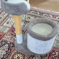 خانه درختی گربی با اسکرچر