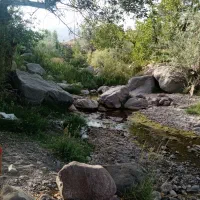 زمین-رضاآباد