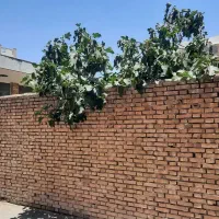 ویلایی-120-متری