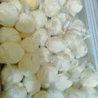 فروش کره گاوی