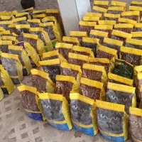 غذای خشک گربه جوسرا ۲ کیلویی