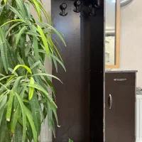 جالباسی جاکفشی